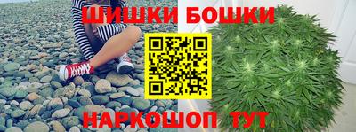 твердый Гатчина