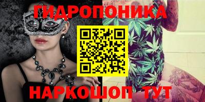 твердый Гатчина