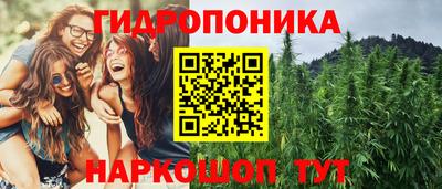 стафф Гагарин