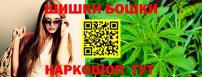 твердый Гатчина