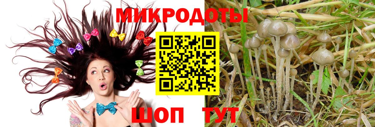 Псилоцибиновые грибы мицелий Мурино