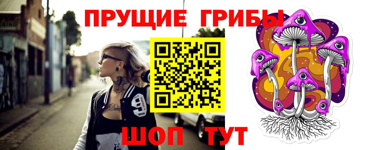 Мурино  Псилоцибиновые грибы GOLDEN TEACHER  Псилоцибиновые грибы GOLDEN TEACHER  Вход с VPN 