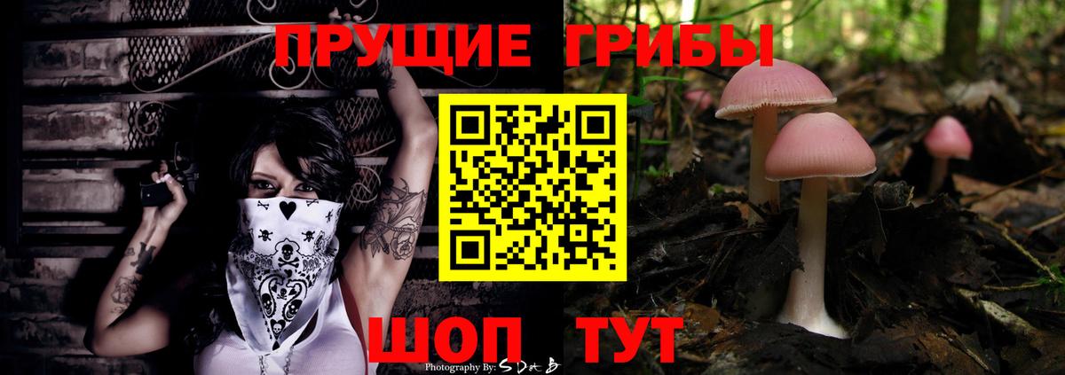 КЕТАМИН  Мурино  Гашиш  Cocaine  Бошки Шишки  Меф МЯУ МЯУ   Альфа ПВП СК кристаллы  ГАШ  Вход с VPN  Купить наркотики цена  Конопля 